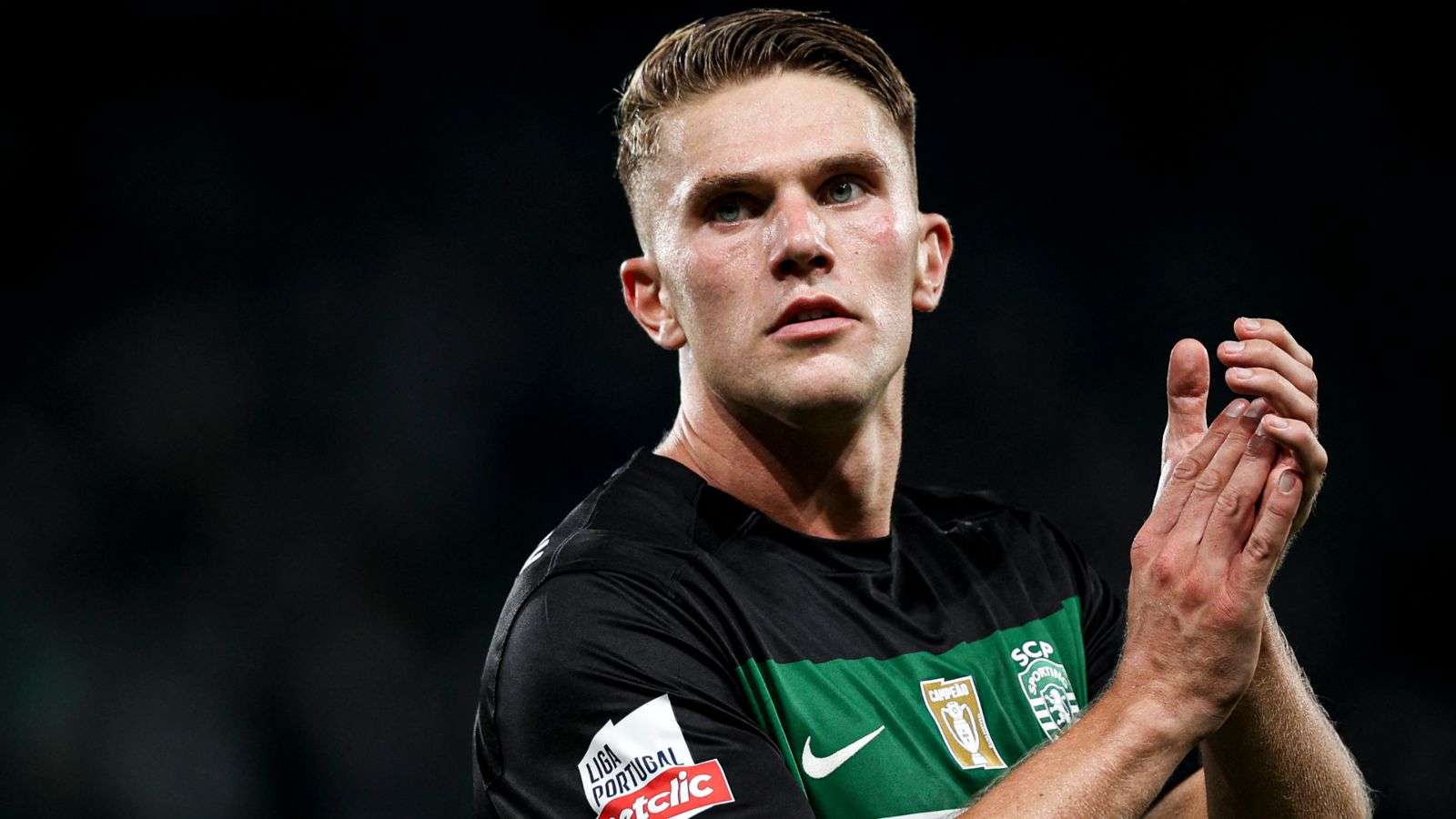 新鲜血液的 新鲜血液的