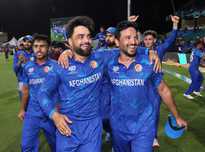 球员和教练 球员和教练