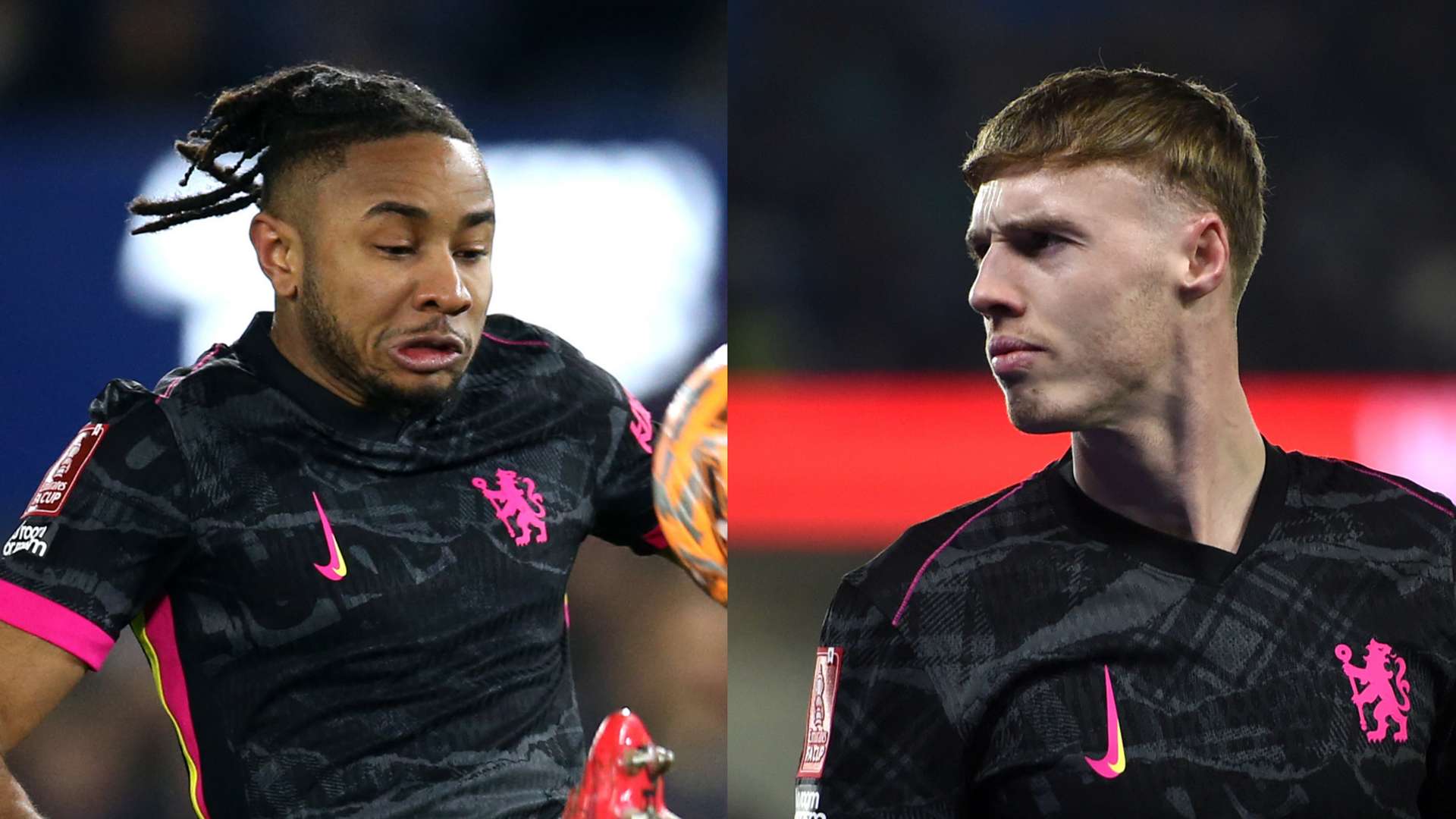 够培养出更 够培养出更